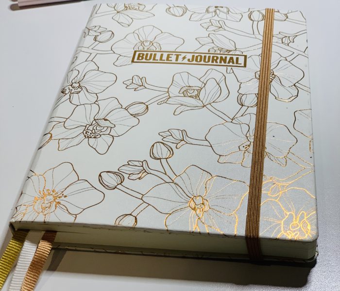 Setting up my 5th Bullet journal